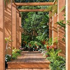 Parchet de exterior - deck